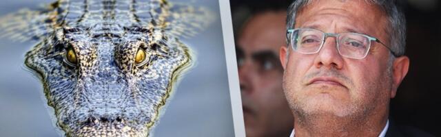 Ovo je presedan: Niko nikad nije predložio ovako nešto - Bio jednom jedan ministar koji je voleo krokodile... Sraman predlog potresao region