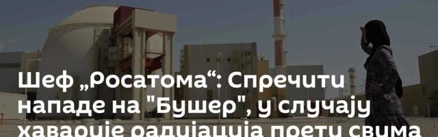 Шеф  „Росатома“: Спречити нападе на "Бушер",  у случају хаварије радијација прети свима у региону