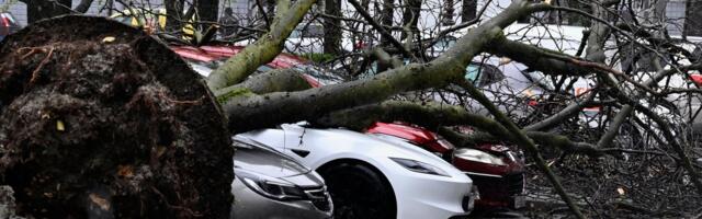 Zagreb ne pamti ovakvu katastrofu: Vetar šiba i do 120km/h, čupa krovove kao od šale, stabla samo padaju