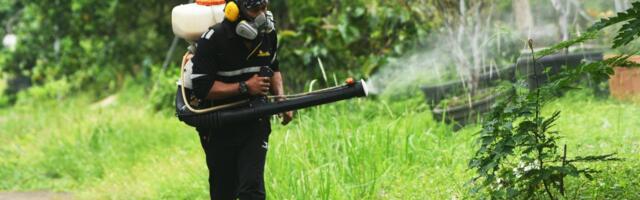 Beograd: Počeli tretmani suzbijanja larvi komaraca na javnim površinama