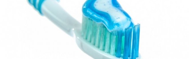 PAS SE IZNERVIRAO! Neće ni da čuje da uradi ovo! (Video)