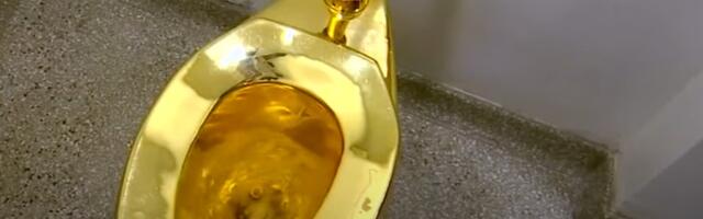 ZA SVE JE KRIVA WC ŠOLJA: Suđenje za krađu koje se ne prašta (VIDEO)