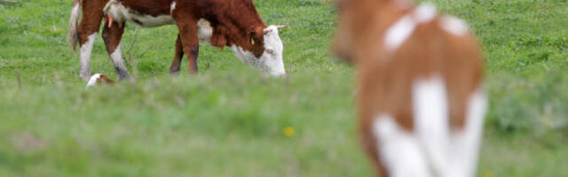 Министарство подсетило на обавезу пријаве откупних места