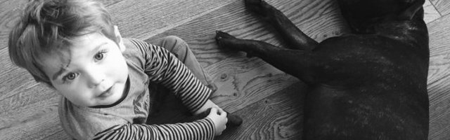 DEČAK I PAS! Ko se koga više uplašio? (Video)