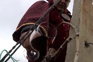 Свети Трифун - зашто се данас одлази у винограде?
