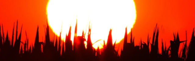 Ispovesti ljudi koji su doživeli kliničku smrt: Evo šta se dešava posle!