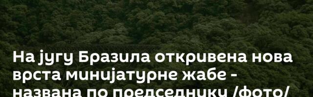 На југу Бразила откривена нова врста минијатурне жабе - названа по председнику /фото/