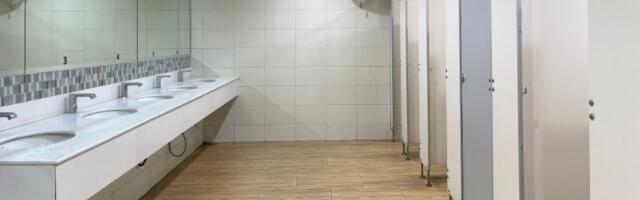 Javni WC u Mađarskoj IZAZVAO HAOS na mrežama: Pogledajte kako je OBEZBEĐEN (FOTO)