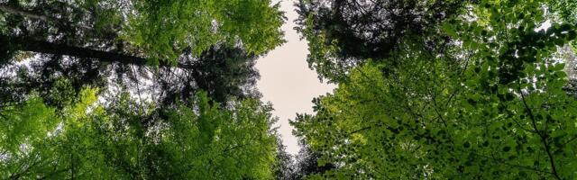 OTROVNICA U SRPSKOM GRADU: Uznemirujuća scena, opružila se na izletištu, jedna greška može biti kobna