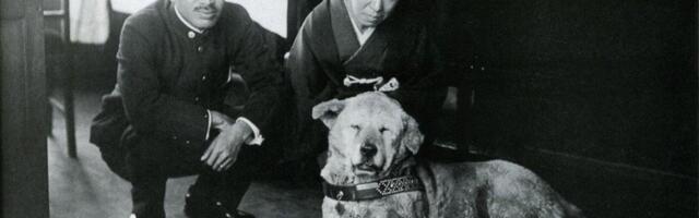 Svakog dana je čekao profesora na železničkoj stanici: Iznenada je umro, a on je na istom mestu ostao do smrti