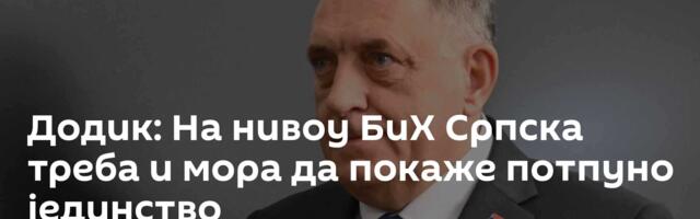 Додик: На нивоу БиХ Српска треба и мора да покаже потпуно јединство