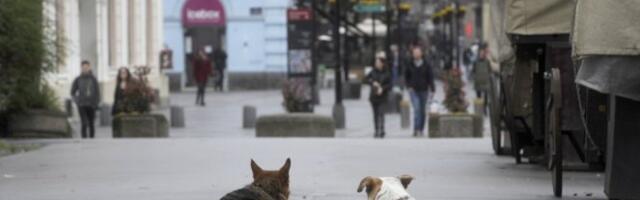 OČEKUJE NAS UMERENO OBLAČAN DAN, NAJVIŠA DNEVNA TEMPERATURA 15 STEPENI! U ovom delu Srbije moguće padavine