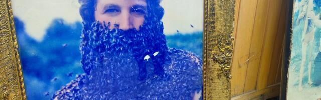 Dragi Radenković – čovek koji veruje pčelama više nego ljudima