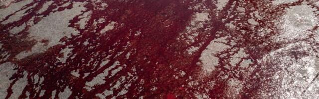 Oskrnavljena bista Sretena Adžića u Jagodini: Lice prefarbano u crvenu boju, ispod nacrtan kukasti krst