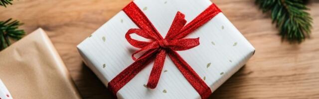 NOVOGODIŠNJI POKLON TE ČEKA OVDE - Klikni i preuzmi ga