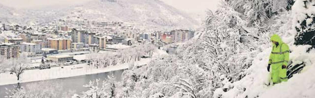 Евакуисане 22 особе, уклоњено 36 оборених стабала