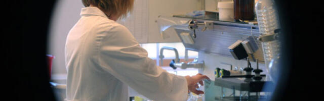 Србија пооштрава контролу увоза свињетине из Шпаније