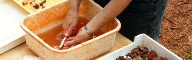 Niški arheolozi pronašli kod Malče naselje i grobove stare 8.000 godina