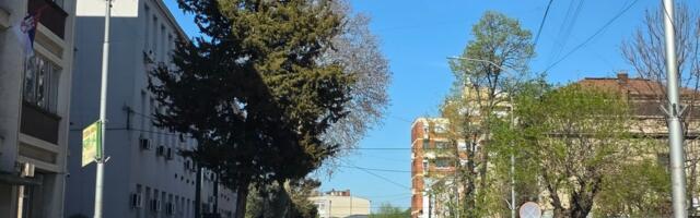 Lebane čeka, mladi odlaze: Priča o egzodusu bez odgovornosti