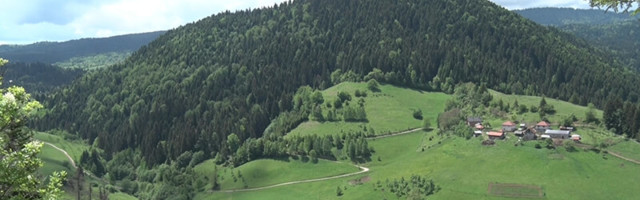 Vlasnici privatnih šuma zahtevaju pravilniju raspodelu budžeta na lokalnom nivou