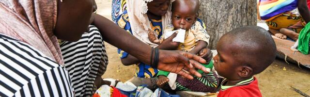 UN: Kamerunu preti katastrofalna glad ako se ne obezbedi 57 miliona evra