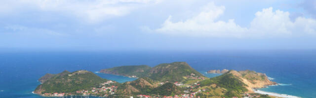 Otkriveno više od 100 novih vrsta biljaka i životinja: Naučnici pronašli “blago” na karipskim ostrvima