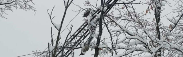Гојковић: Ситуација веома тешка, без струје око 8.400 домаћинстава у ваљевском крају