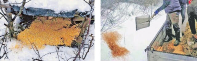 Хра­на за ди­вљач у ло­ви­шти­ма Али­бу­на­ра