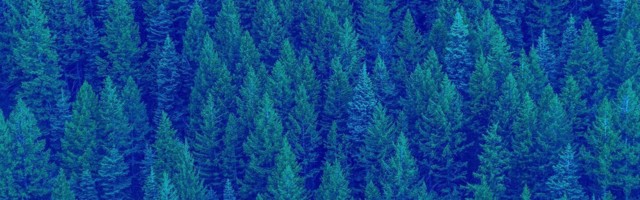 Climathon Belgrade se bliži — objavljen poziv za učesnike, posmatrače i predavače