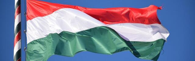 DZVM: To što bi SVM da sarađuje sa Peterom Mađarom - primer beskrupuloznog političkog konvertitstva