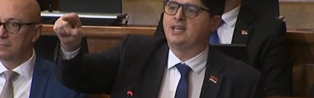 Pravedna tetka štitila kriminalca?! Mrdić traži hitan postupak protiv Bojane Savović zbog političkog skupa