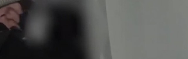 ENGLESKA POLICIJA OBJAVILA SNIMAK! Upali na žurku, pa izvlačili ljude iz ORMANA! /VIDEO/