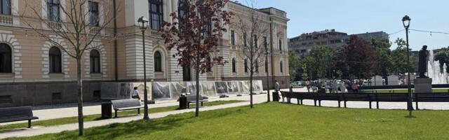 Šumadijski blok 21 povodom osušenih stabala javora na Trgu Radomira Putnika: Skupo plaćen promašaj