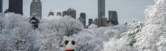Снег и лед прете западу и североистоку САД