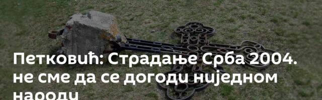 Петковић: Страдање Срба 2004. не сме да се догоди ниједном народу