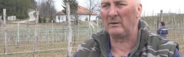 RADIVOJE UZGAJA OVU BILJKU I OD NJE LEPO ŽIVI! Ima mnogo posla, ali se isplati - država daje isubvencije!