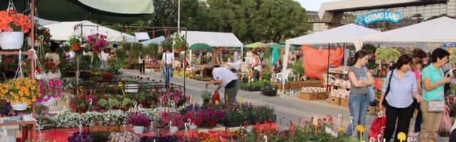 Druga prolećna Novosadska cvetna pijaca u petak i u subotu