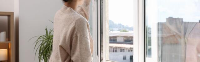 Nema više zavesa, ni roletni: Svi žele ovo na svojim prozorima, jeftino i praktično rešenje