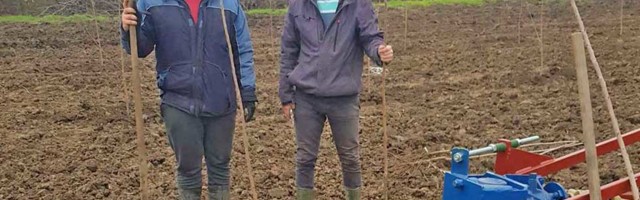 Student Poljoprivrednog fakulteta Miljan Vasić uzgaja trešnje u Šurjanu