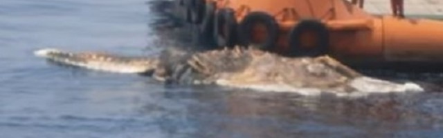 Iranska mornarica locirala je džinovski misteriozni trup koji pluta vodama, niko ne zna o čemu se radi! (VIDEO)