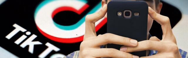 Dečak (13) do smrti mučio mačku i sve to snimao: Hvali se po TikToku, njegov iskaz sve šokirao