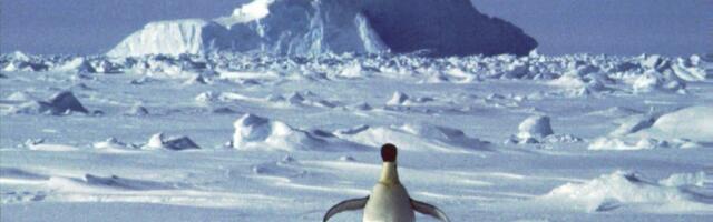 Otvorili su vrata, a napolju -62 stepena: Pogledajte snimak kako to izgleda u najvećoj pustinji na svetu