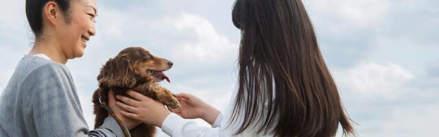 Dijagnoze autizma su u porastu, ali možda samo oboljenje nije