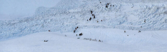 SLOVENIJA TREĆI DAN U MRAKU! Mećava i lavine zavejale državu kao nikad pre