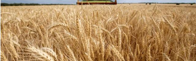 Rat na Bliskom istoku diže cene hrane