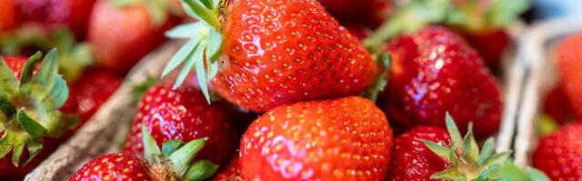 LEKARI OTKRILI KOLIKO JAGODA SMETE DA POJEDETE: Ukoliko su imate OVO, ne igrajte se sa životom, za čas se desi!