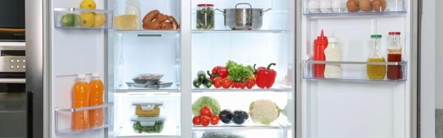 Koja je idealna temperatura u frižideru? Stručnjaci imaju jasan odgovor
