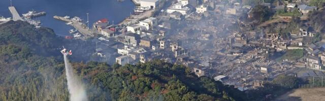 Tokom tradicionalnog paljenja trave u planinskom parku na ostrvu Honšu stradao radnik