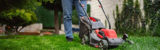 Svi prave istu grešku čim ogreje sunce: Travnjak vam može PROPASTI za par dana