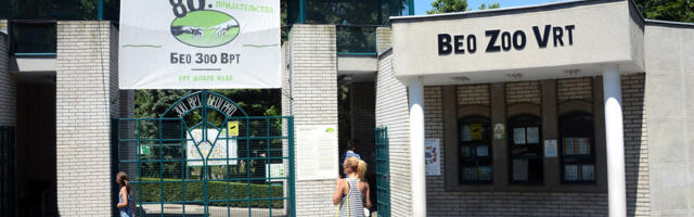 Posle tri decenije stigla prinova ove vrste u Beo zoo vrt: Pravo čudo se desilo